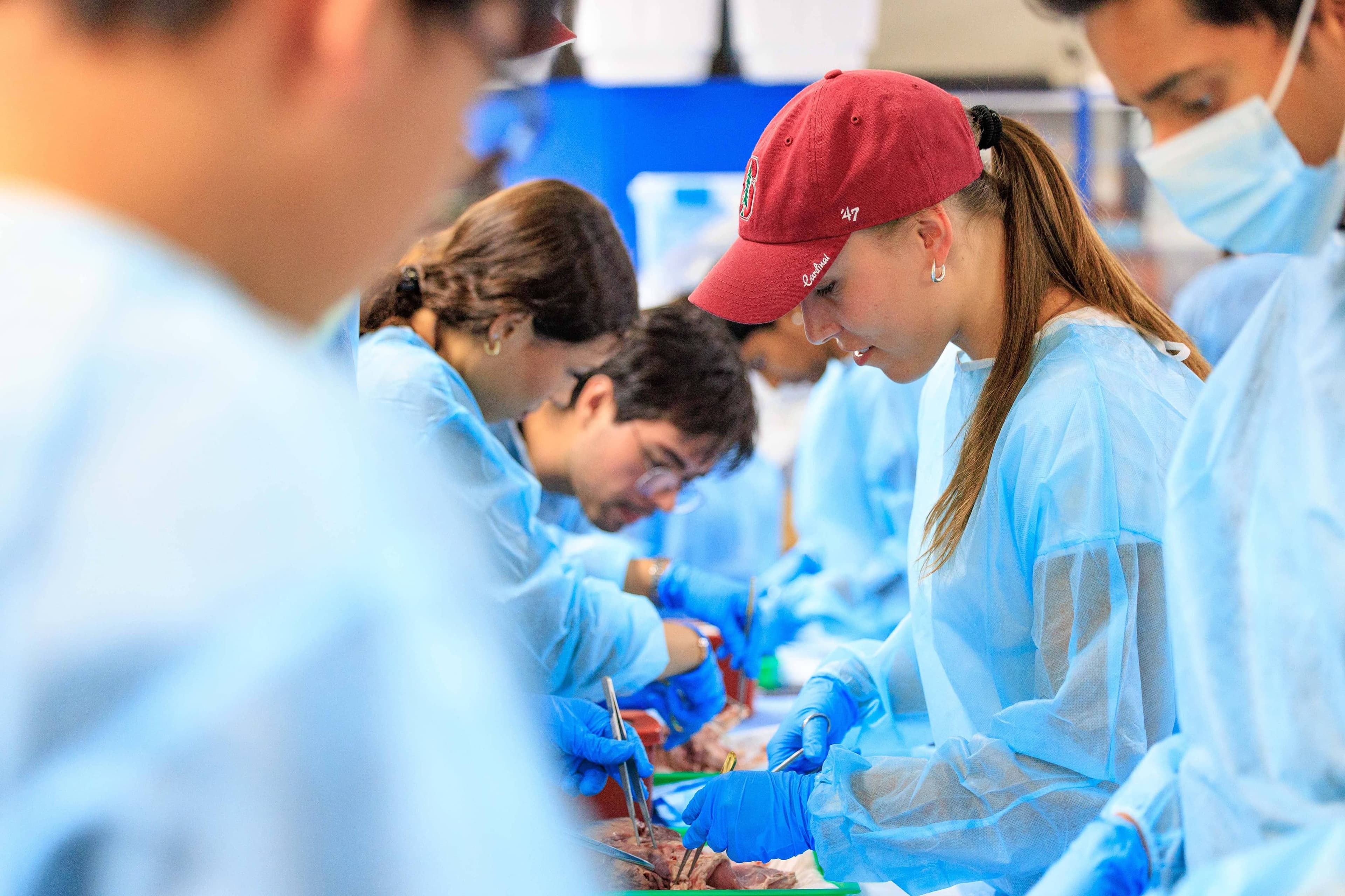 Students practice surgical techniques during Intro to Medicine Bootcamp. (Photo credits to Nikolas Liepins/Ethography for Stanford Summer Session)